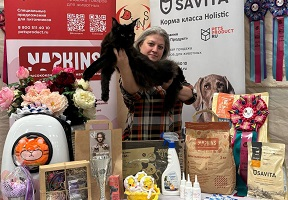 Выставка кошек от клуба "Деннис"