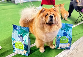 Выставка собак от клуба "Высшая Лига"