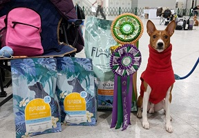 Выставка собак клуба "Фаворит"