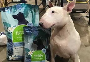 Выставка собак от клуба «Русский стиль»