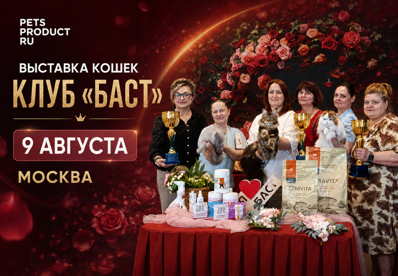 Выставка кошек "Баст" 9 августа Москва
