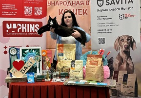 Выставка кошек от клуба Баст