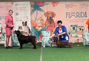 Выставка собак от клуба "Каскад"