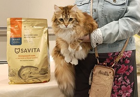 Выставка кошек от клуба "Москва"