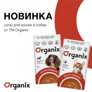    Organix: