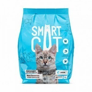 :     Smart Cat!