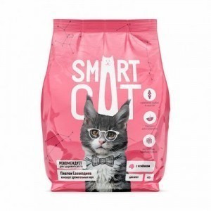 :     Smart Cat!